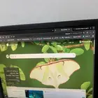 شاشة كمبيوتر ديل ممتاز جدا