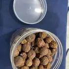 بذور سدر بلدي
