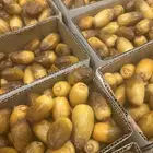 رطب بيشه فاخر