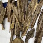 اندر انواع العود