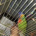 لوري ريمبو . اليف عمره 9شهور