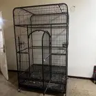 قفص كبير مكاو