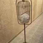 قفص طيور تعليق