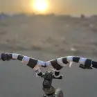 دراجه للبيع الصامل بس
