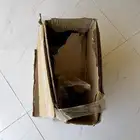للبيع دوده جمس جديده