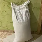 حب دوار شمس