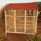 شبك طيور