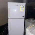 القنفذه