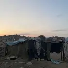 سلام عليكم للبيع شبوك