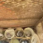 حمام بلدي العدد 20 جوز