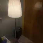 ابجورى جديدة