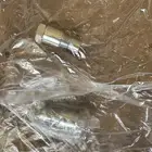 وصلة حساس البيئة