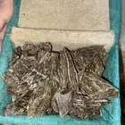 عود