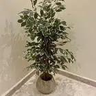 شجرة او نبات صناعي مع الإناء أو الحوض artificial tree plant