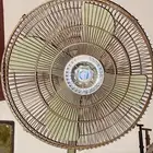 مروحه باكستانيه ممتازه