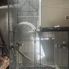 للبيع قفص ببغاء كاسكو انتاج