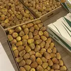 سكري ملكي فاخر