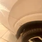 بالسيد 2022