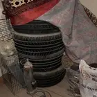 ثلاث كفرات دنلوب و كفر صيني