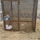 صندقه زنق متر في متر