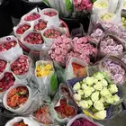 ورد لتوزيعات اليوم الوطني