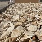 خبز حلال نظيف