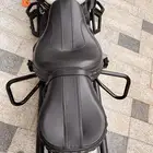 دباب هارلي هيرتج 2022