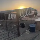 عشه وشبوك ومعالف