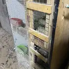 للبيع محاكر خشب ثنين