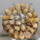 اطياس كامري 2025 ( شيوخ ) دخل