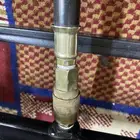 للبيع قز عنين. معه اللي والشنطه