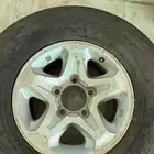 جنوط رفرف ربع وشاص