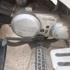 دباب