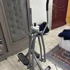 غزال الطاير