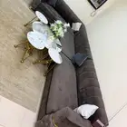 أبو عريش