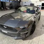 موستنج 2018 كشف