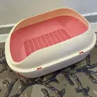 اغراض قطط متنوعة