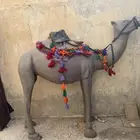 للبيع جمل فيبر ديكور