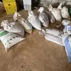 تمر علف للبيع
