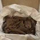 عود موروكي اصقون تربل سوبر قديم