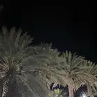 للبيع صفري حبه وسط وبعضه كبير