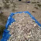 للبيع خبز علف