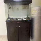 حوض سمك للبيع