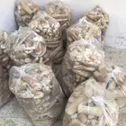 خبز ناشف فالتنعيم