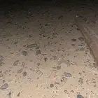 مطلوب حمام فينبع