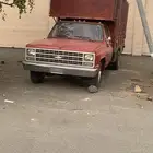 جمس استيك بدي كان فيه نحل.