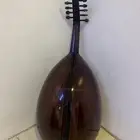 عود للبيع