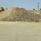 دفنيه للبيع