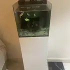 حوض اسماك زينه