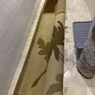 قطيفة مرينوس 4 في 4